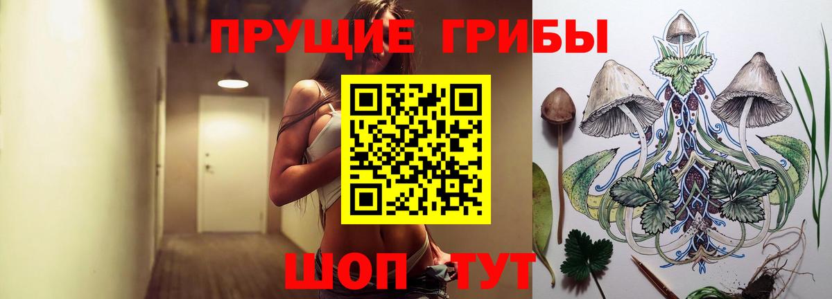 Галлюциногенные грибы Magic Shrooms  Вход с VPN  Будённовск 